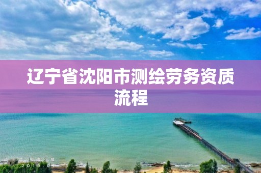 遼寧省沈陽市測繪勞務資質(zhì)流程