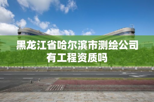 黑龍江省哈爾濱市測繪公司有工程資質嗎