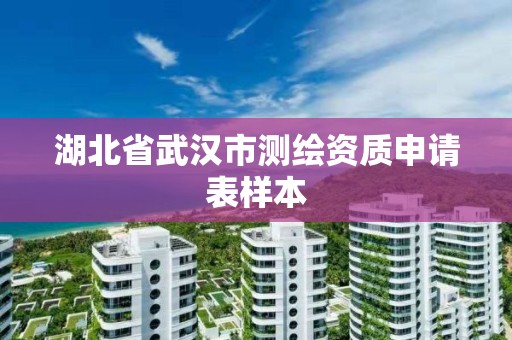 湖北省武漢市測繪資質申請表樣本