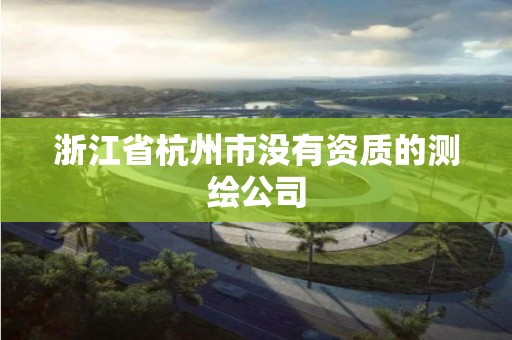 浙江省杭州市沒有資質(zhì)的測繪公司