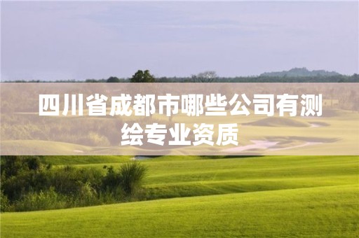 四川省成都市哪些公司有測繪專業(yè)資質(zhì)