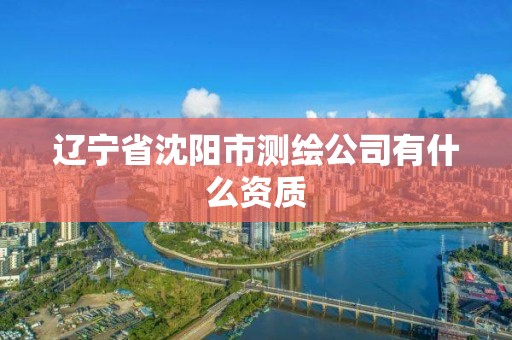 遼寧省沈陽市測繪公司有什么資質