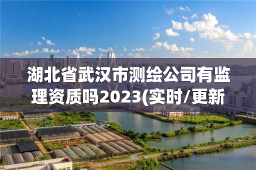 湖北省武漢市測繪公司有監理資質嗎2023(實時/更新中)