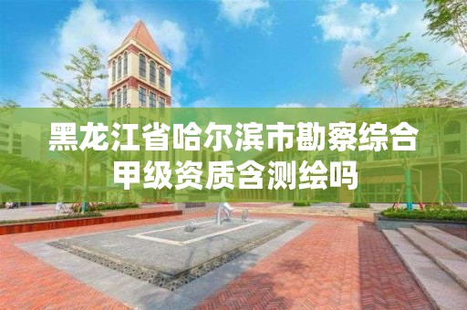 黑龍江省哈爾濱市勘察綜合甲級資質含測繪嗎