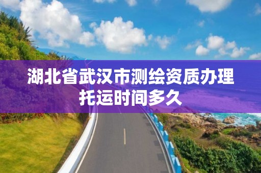 湖北省武漢市測繪資質辦理托運時間多久