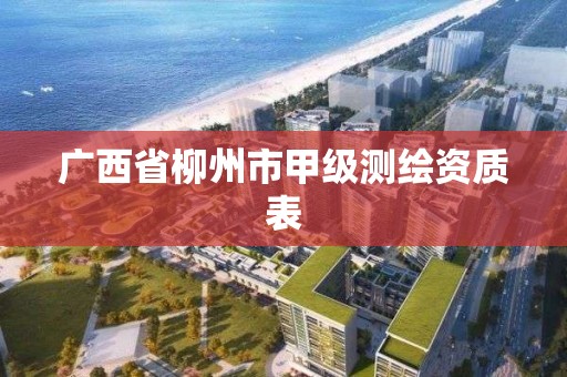 廣西省柳州市甲級測繪資質表