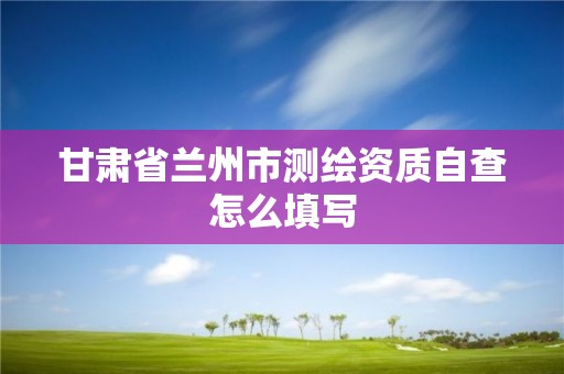 甘肅省蘭州市測(cè)繪資質(zhì)自查怎么填寫(xiě)