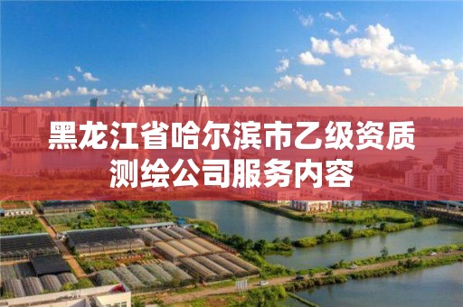 黑龍江省哈爾濱市乙級資質測繪公司服務內容