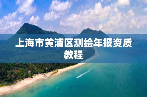 上海市黃浦區測繪年報資質教程