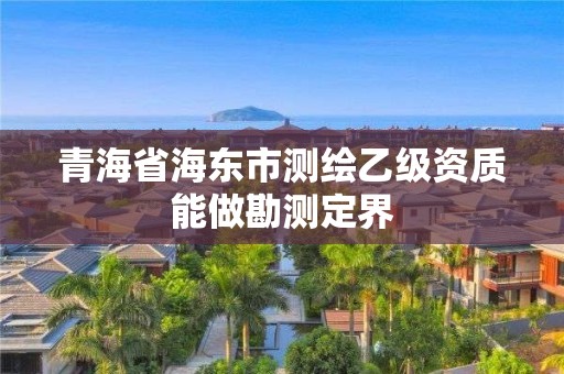 青海省海東市測繪乙級資質能做勘測定界