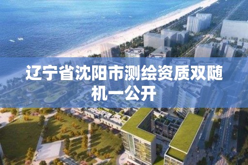 遼寧省沈陽市測繪資質雙隨機一公開