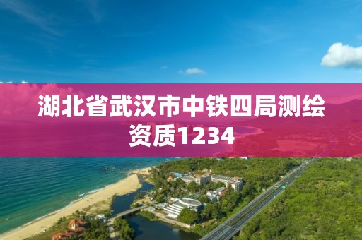 湖北省武漢市中鐵四局測繪資質1234