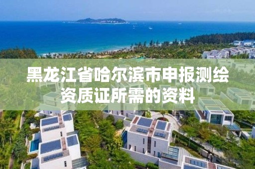 黑龍江省哈爾濱市申報測繪資質(zhì)證所需的資料