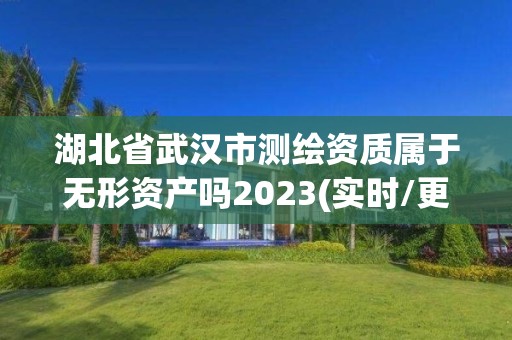 湖北省武漢市測繪資質屬于無形資產嗎2023(實時/更新中)