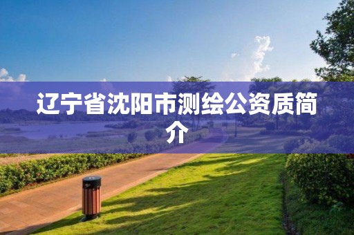 遼寧省沈陽市測繪公資質簡介