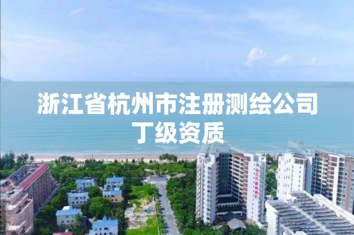 浙江省杭州市注冊測繪公司丁級資質