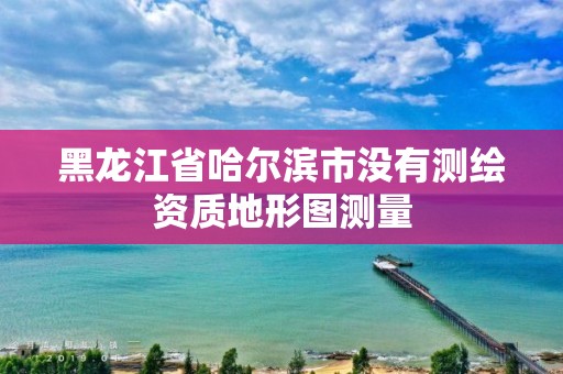 黑龍江省哈爾濱市沒有測繪資質地形圖測量