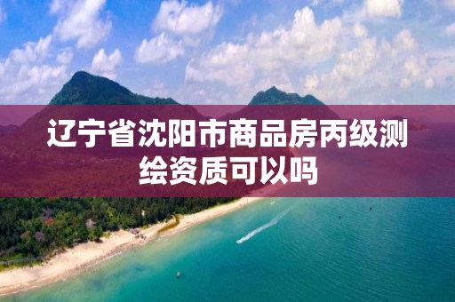 遼寧省沈陽市商品房丙級測繪資質可以嗎