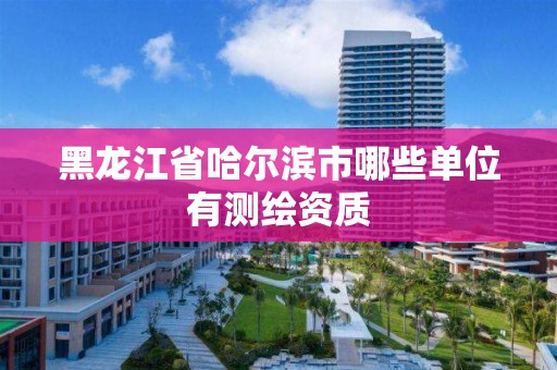 黑龍江省哈爾濱市哪些單位有測繪資質