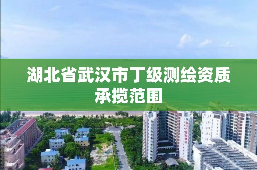 湖北省武漢市丁級測繪資質承攬范圍