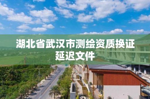 湖北省武漢市測繪資質換證延遲文件