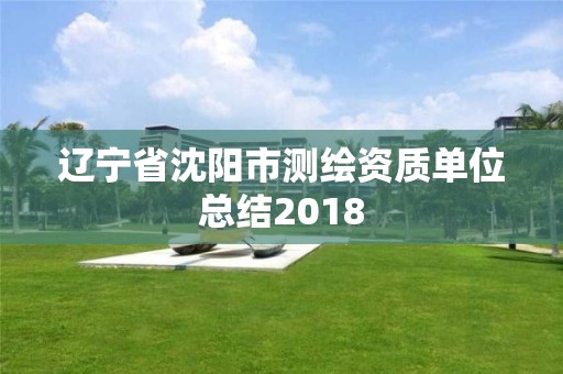 遼寧省沈陽市測繪資質單位總結2018