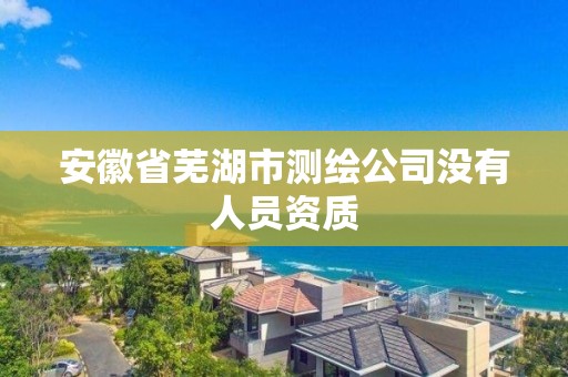 安徽省蕪湖市測繪公司沒有人員資質(zhì)