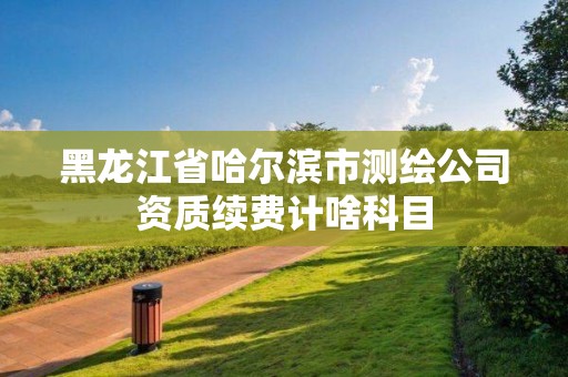 黑龍江省哈爾濱市測繪公司資質續費計啥科目