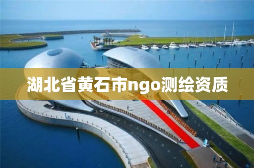 湖北省黃石市ngo測繪資質(zhì)