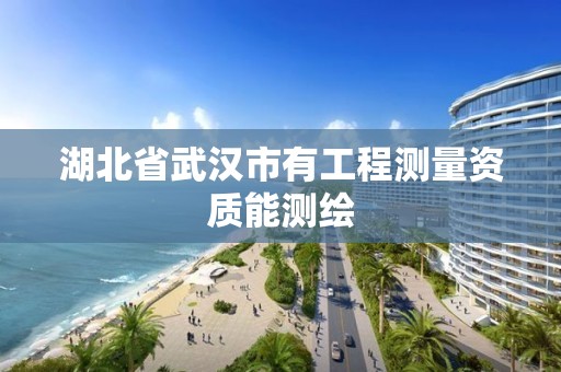 湖北省武漢市有工程測量資質能測繪