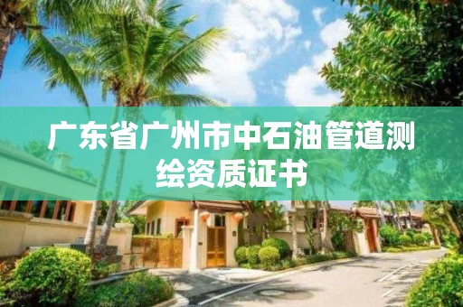 廣東省廣州市中石油管道測繪資質證書