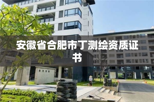 安徽省合肥市丁測繪資質證書