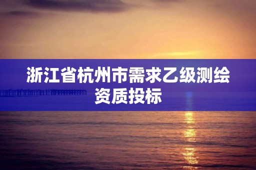 浙江省杭州市需求乙級測繪資質投標