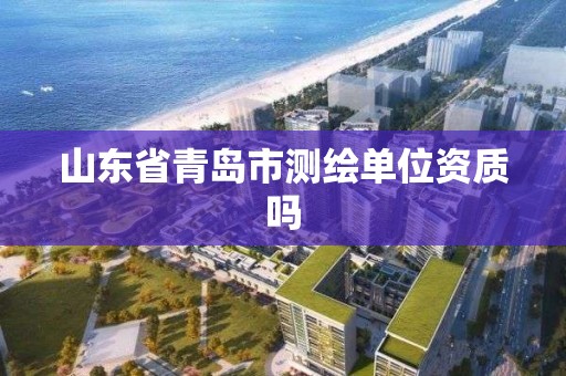 山東省青島市測繪單位資質嗎