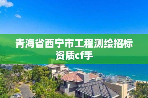 青海省西寧市工程測繪招標資質cf手