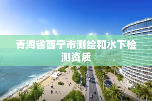 青海省西寧市測繪和水下檢測資質(zhì)