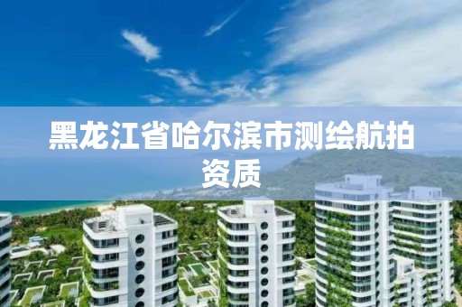 黑龍江省哈爾濱市測繪航拍資質