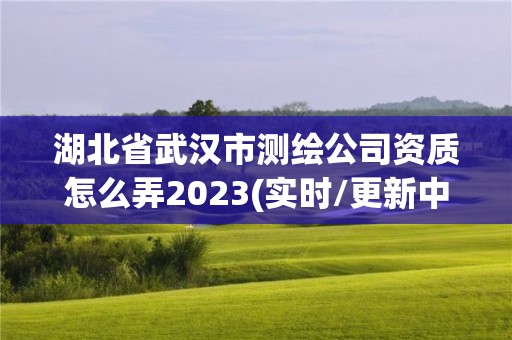 湖北省武漢市測繪公司資質怎么弄2023(實時/更新中)