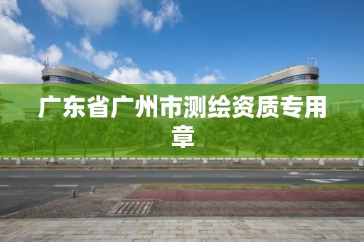 廣東省廣州市測繪資質專用章