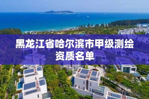 黑龍江省哈爾濱市甲級測繪資質(zhì)名單