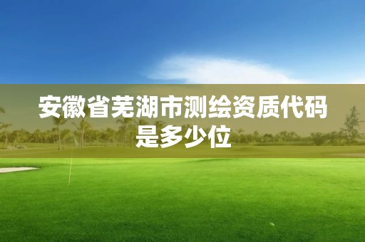 安徽省蕪湖市測繪資質代碼是多少位