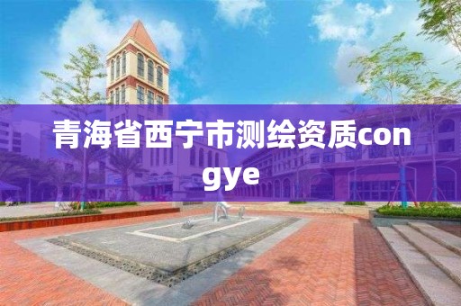 青海省西寧市測(cè)繪資質(zhì)congye