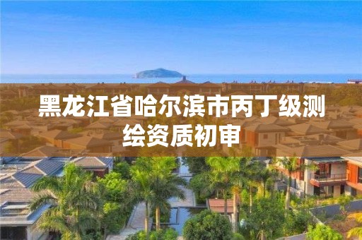 黑龍江省哈爾濱市丙丁級測繪資質(zhì)初審