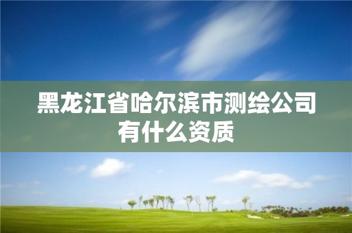 黑龍江省哈爾濱市測繪公司有什么資質(zhì)