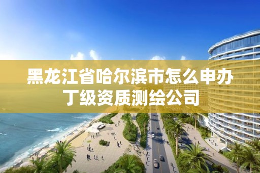 黑龍江省哈爾濱市怎么申辦丁級資質測繪公司