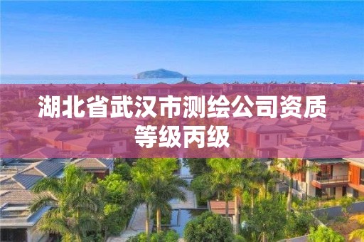 湖北省武漢市測繪公司資質等級丙級