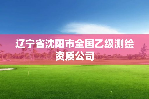 遼寧省沈陽市全國乙級測繪資質(zhì)公司