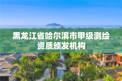 黑龍江省哈爾濱市甲級測繪資質(zhì)頒發(fā)機(jī)構(gòu)