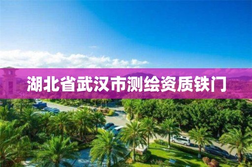 湖北省武漢市測繪資質鐵門