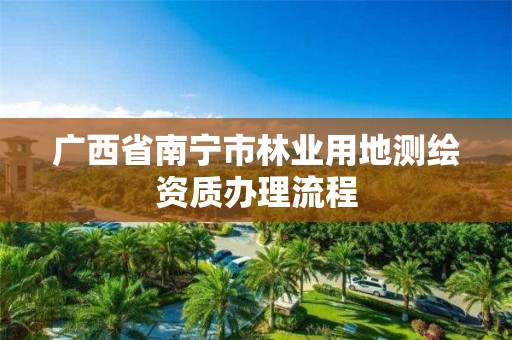 廣西省南寧市林業用地測繪資質辦理流程